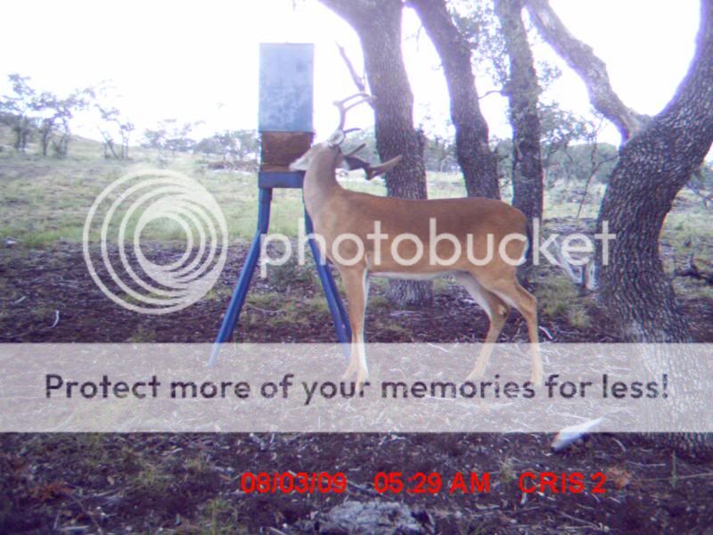 Record Rack Deer Blocks??? Texas Hunting Forum